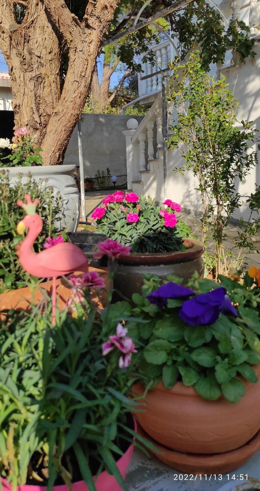 Secret Garden Home Lagonissi Attiki Foinikia  Экстерьер фото