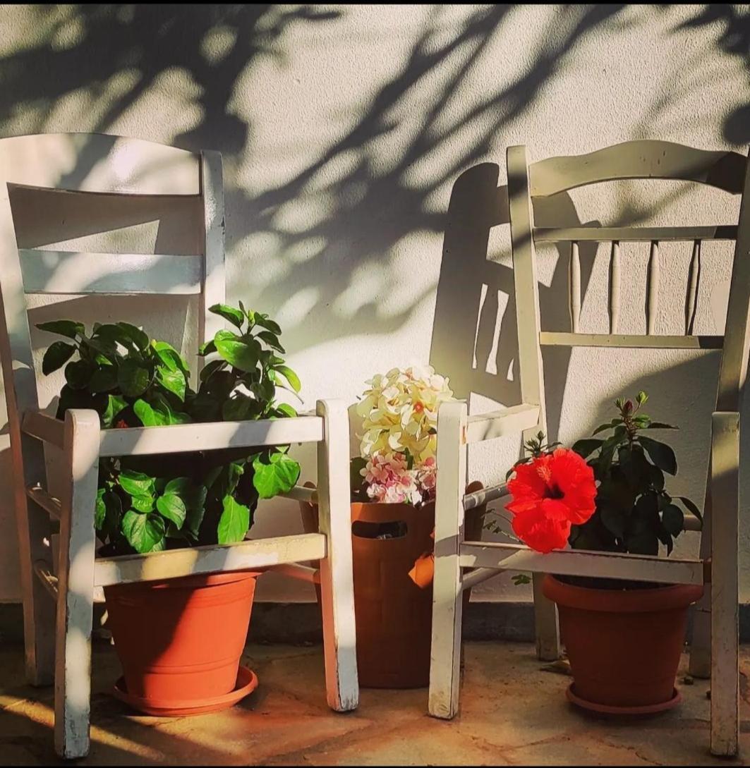 Secret Garden Home Lagonissi Attiki Foinikia  Экстерьер фото
